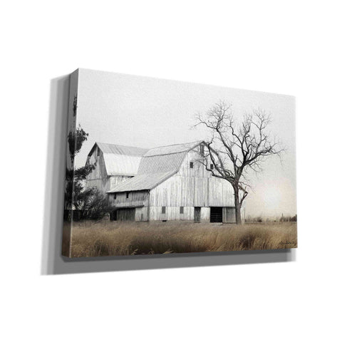 Image of 'Ohio Fields I' by Lori Deiter, Canvas Wall Art