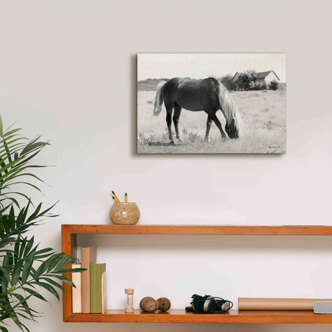 Image of 'Summer Grazing' by Lori Deiter, Canvas Wall Art,18 x 12