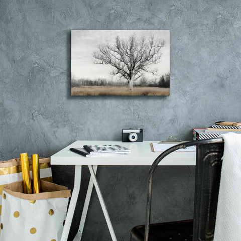 Image of 'Earth & Sky' by Lori Deiter, Canvas Wall Art,18 x 12