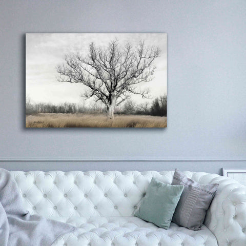 Image of 'Earth & Sky' by Lori Deiter, Canvas Wall Art,60 x 40