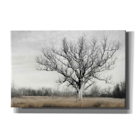 Image of 'Earth & Sky' by Lori Deiter, Canvas Wall Art