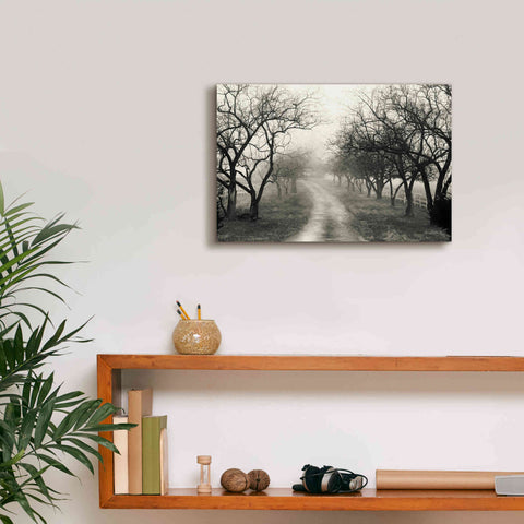 Image of 'Foggy Lane' by Lori Deiter, Canvas Wall Art,18 x 12