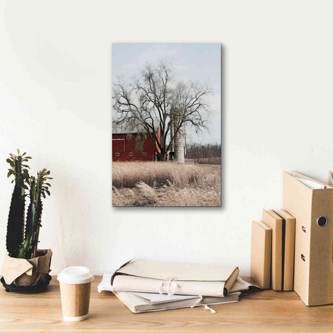 Image of 'Painted Silo' by Lori Deiter, Canvas Wall Art,12 x 18