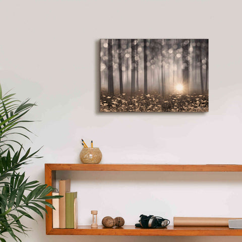 Image of 'Enchanted Morning' by Lori Deiter, Canvas Wall Art,18 x 12
