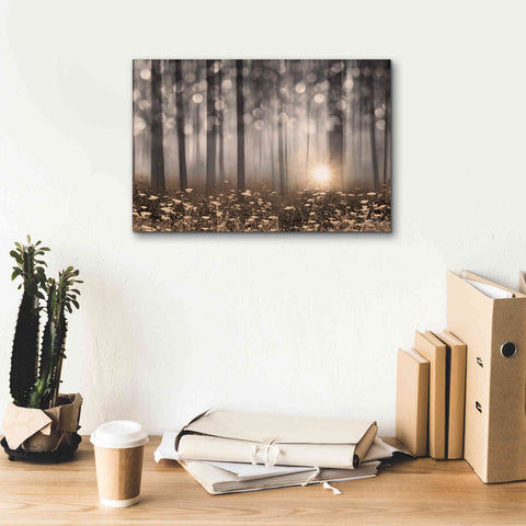 Image of 'Enchanted Morning' by Lori Deiter, Canvas Wall Art,18 x 12
