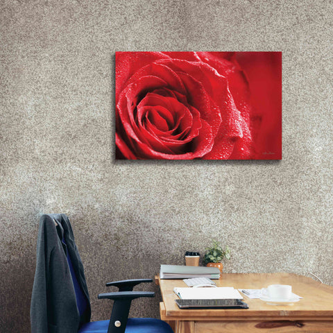 Image of 'Red Rose After Rain' by Lori Deiter, Canvas Wall Art,40 x 26