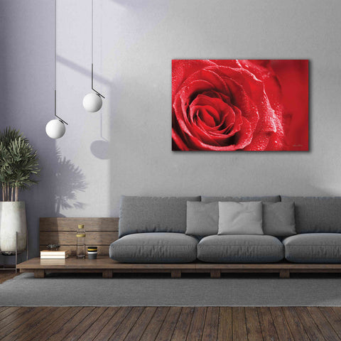 Image of 'Red Rose After Rain' by Lori Deiter, Canvas Wall Art,60 x 40