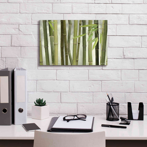 Image of 'Backlit Bamboo I' by Lori Deiter, Canvas Wall Art,18 x 12