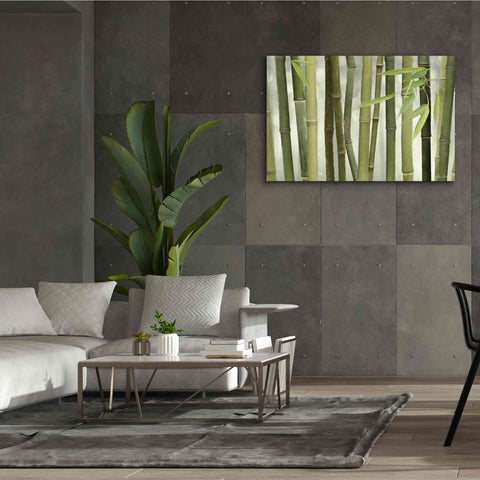 Image of 'Backlit Bamboo I' by Lori Deiter, Canvas Wall Art,60 x 40