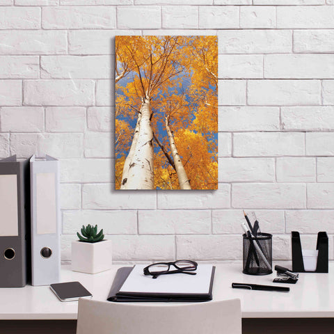 Image of 'Aspen I' by Lori Deiter, Canvas Wall Art,12 x 18