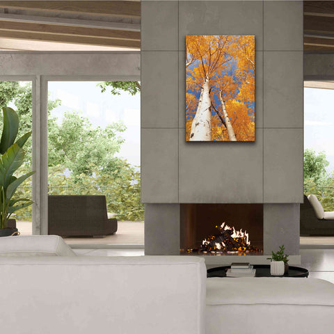 Image of 'Aspen I' by Lori Deiter, Canvas Wall Art,26 x 40