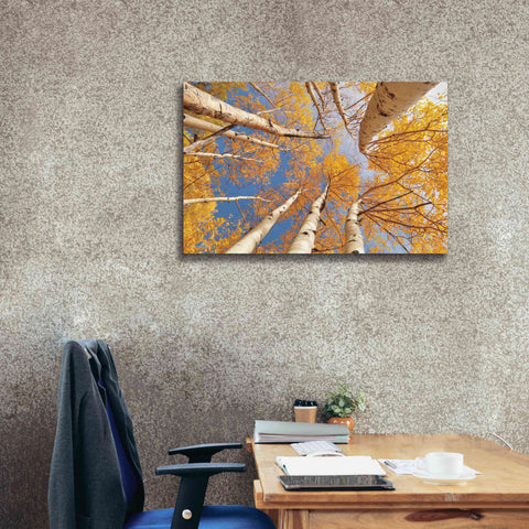 Image of 'Aspen II' by Lori Deiter, Canvas Wall Art,40 x 26