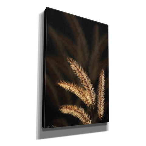 Image of 'Golden Grass I' by Lori Deiter, Canvas Wall Art