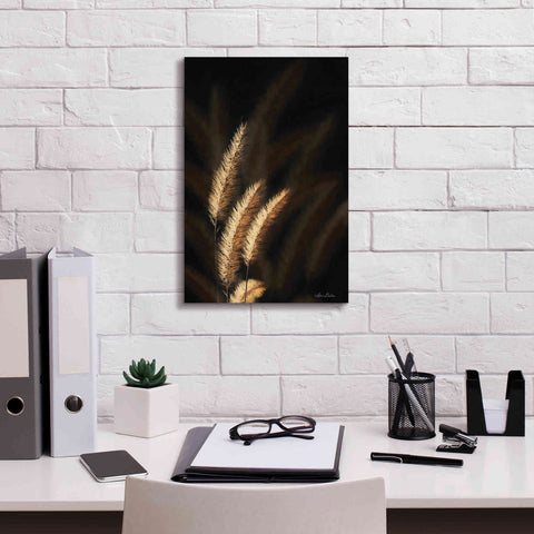 Image of 'Golden Grass III' by Lori Deiter, Canvas Wall Art,12 x 18