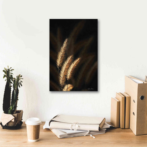 Image of 'Golden Grass III' by Lori Deiter, Canvas Wall Art,12 x 18