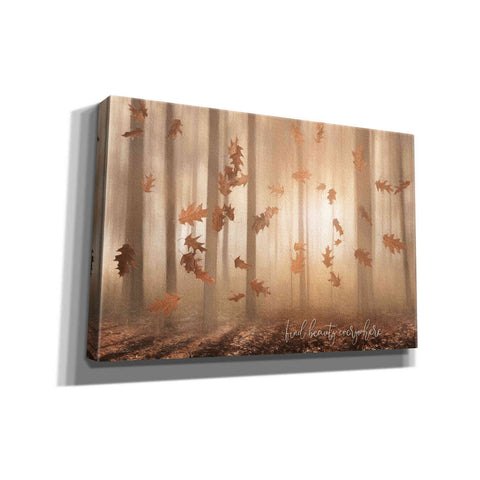 Image of 'Find Beauty Everywhere' by Lori Deiter, Canvas Wall Art