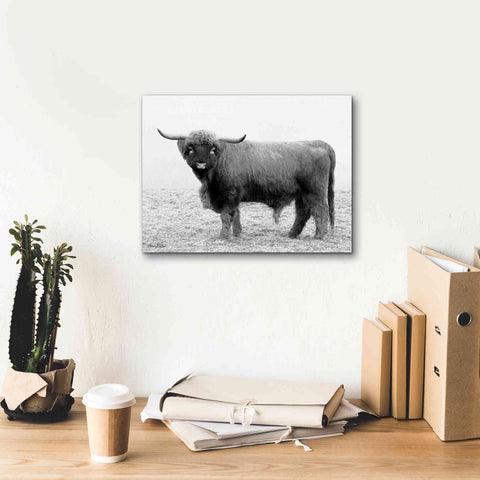 Image of 'Scotty the Bull' by Lori Deiter, Canvas Wall Art,16 x 12