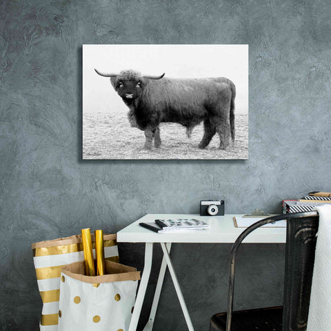 Image of 'Scotty the Bull' by Lori Deiter, Canvas Wall Art,26 x 18