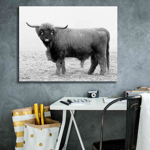 Image of 'Scotty the Bull' by Lori Deiter, Canvas Wall Art,34 x 26