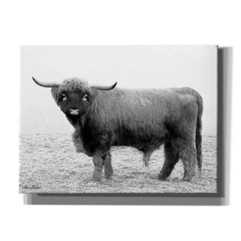 Image of 'Scotty the Bull' by Lori Deiter, Canvas Wall Art
