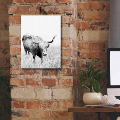 Image of 'Kiss My Hairy Face' by Lori Deiter, Canvas Wall Art,12 x 16