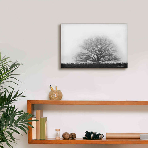 Image of 'Foggy Old Tree' by Lori Deiter, Canvas Wall Art,18 x 12