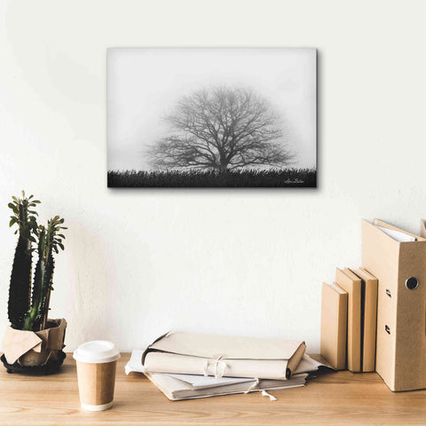 Image of 'Foggy Old Tree' by Lori Deiter, Canvas Wall Art,18 x 12
