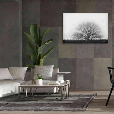 Image of 'Foggy Old Tree' by Lori Deiter, Canvas Wall Art,60 x 40