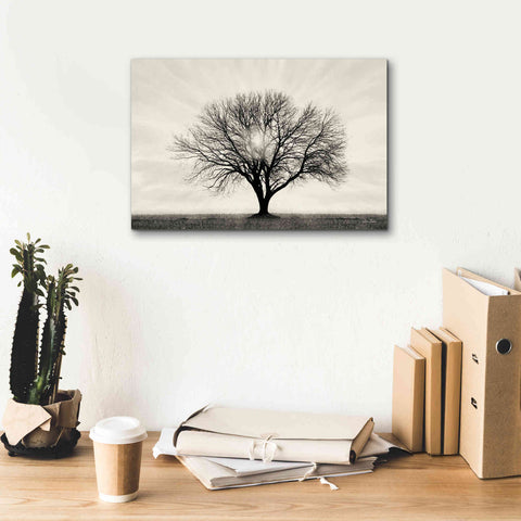 Image of 'Grow in Different Directions' by Lori Deiter, Canvas Wall Art,18 x 12