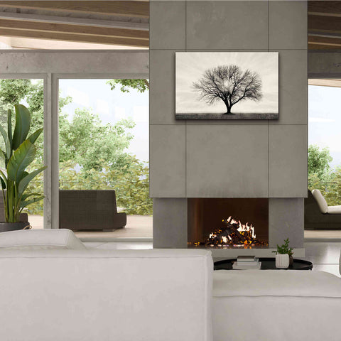 Image of 'Grow in Different Directions' by Lori Deiter, Canvas Wall Art,40 x 26