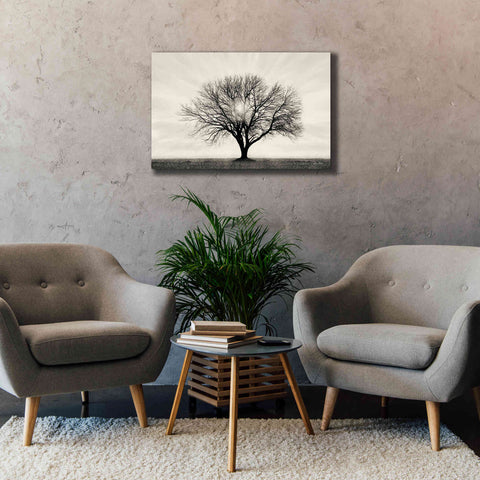 Image of 'Grow in Different Directions' by Lori Deiter, Canvas Wall Art,40 x 26