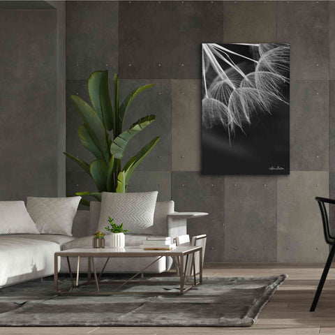 Image of 'Goatsbeard I' by Lori Deiter, Canvas Wall Art,40 x 60
