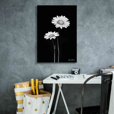 Image of 'Pair of Daisies' by Lori Deiter, Canvas Wall Art,18 x 26