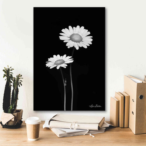 Image of 'Pair of Daisies' by Lori Deiter, Canvas Wall Art,18 x 26