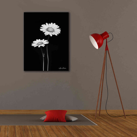 Image of 'Pair of Daisies' by Lori Deiter, Canvas Wall Art,26 x 34