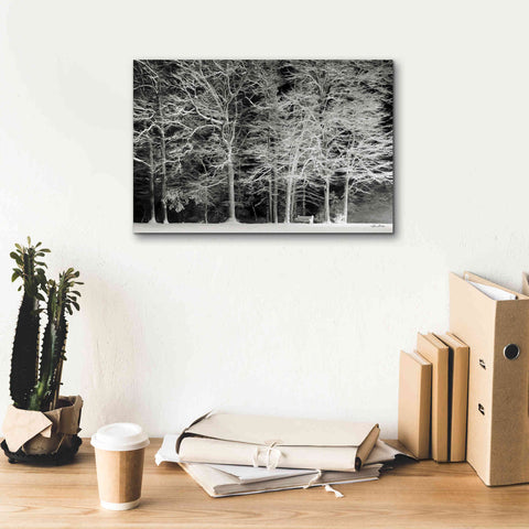 Image of 'Snowy Trees' by Lori Deiter, Canvas Wall Art,18 x 12