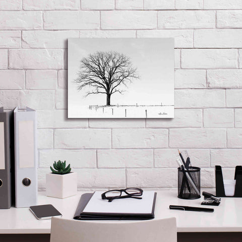 Image of 'Bare' by Lori Deiter, Canvas Wall Art,16 x 12