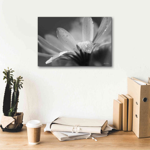 Image of 'Daisy' by Lori Deiter, Canvas Wall Art,18 x 12