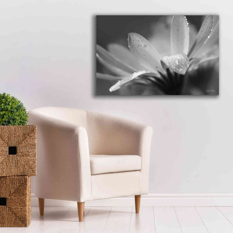 Image of 'Daisy' by Lori Deiter, Canvas Wall Art,40 x 26