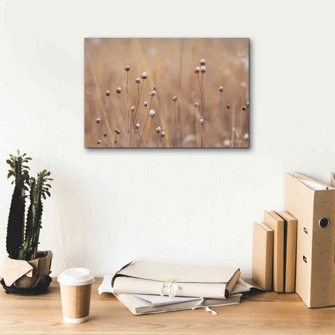 Image of 'Snow Capped Wildflowers' by Lori Deiter, Canvas Wall Art,18 x 12