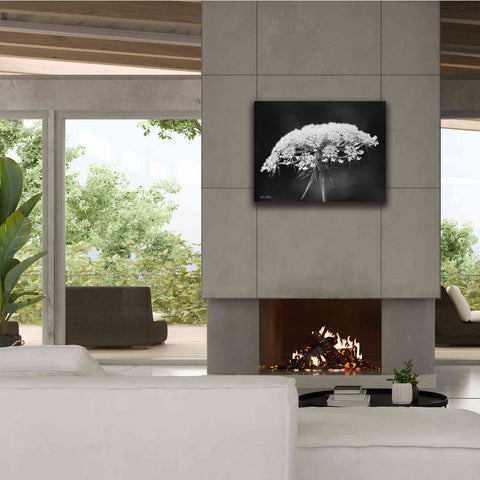 Image of 'Queen Anne's Lace' by Lori Deiter, Canvas Wall Art,34 x 26