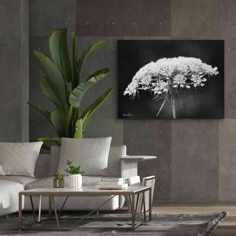 Image of 'Queen Anne's Lace' by Lori Deiter, Canvas Wall Art,54 x 40