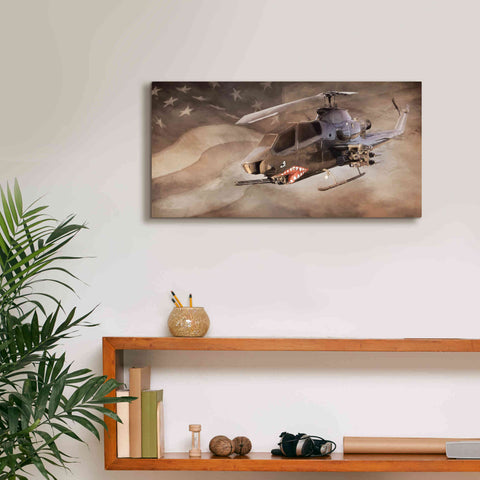 Image of 'Freedom Fighter' by Lori Deiter, Canvas Wall Art,24 x 12