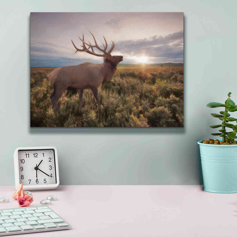 Image of 'Jackson Sunrise with Elk' by Lori Deiter, Canvas Wall Art,16 x 12