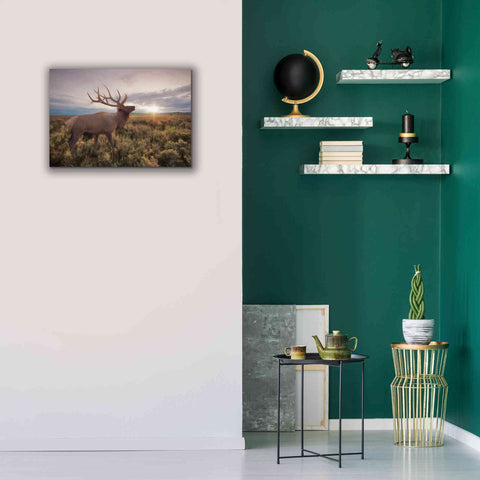 Image of 'Jackson Sunrise with Elk' by Lori Deiter, Canvas Wall Art,26 x 18