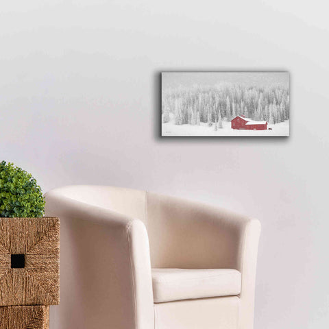 Image of 'Old Wyoming Barn' by Lori Deiter, Canvas Wall Art,24 x 12