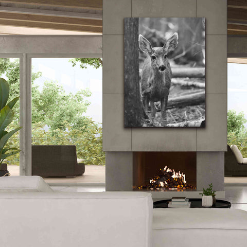Image of 'Rocky Mountains Deer' by Lori Deiter, Canvas Wall Art,40 x 54