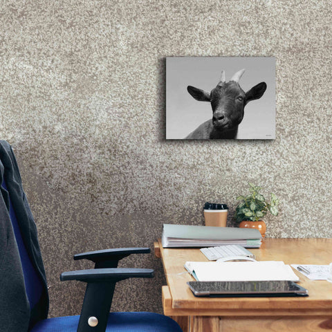 Image of 'Lake Tobias Goat I' by Lori Deiter, Canvas Wall Art,16 x 12