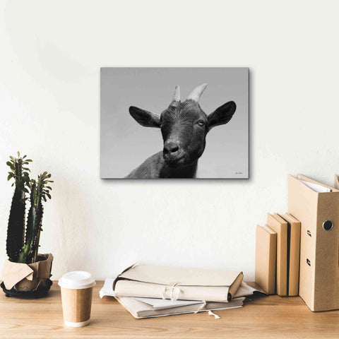 Image of 'Lake Tobias Goat I' by Lori Deiter, Canvas Wall Art,16 x 12