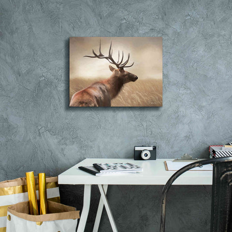 Image of 'Elk in the Grass' by Lori Deiter, Canvas Wall Art,16 x 12